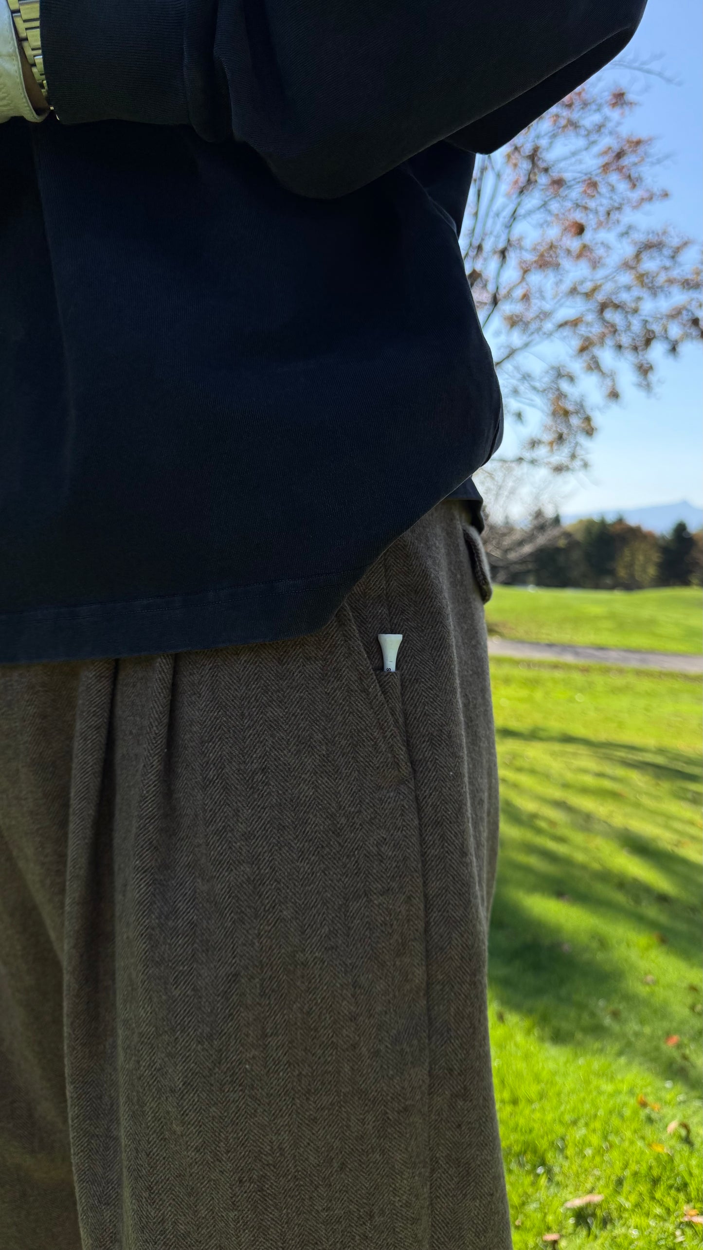 Wool Trousers • Brownstone